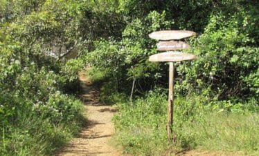 nature tour